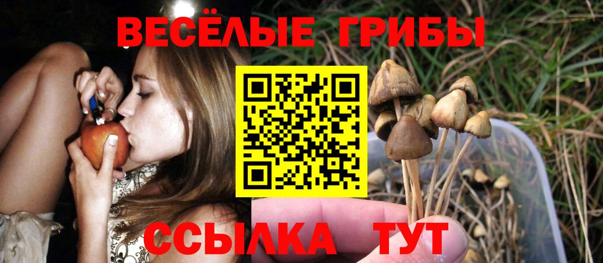 Галлюциногенные грибы мицелий Большой Камень